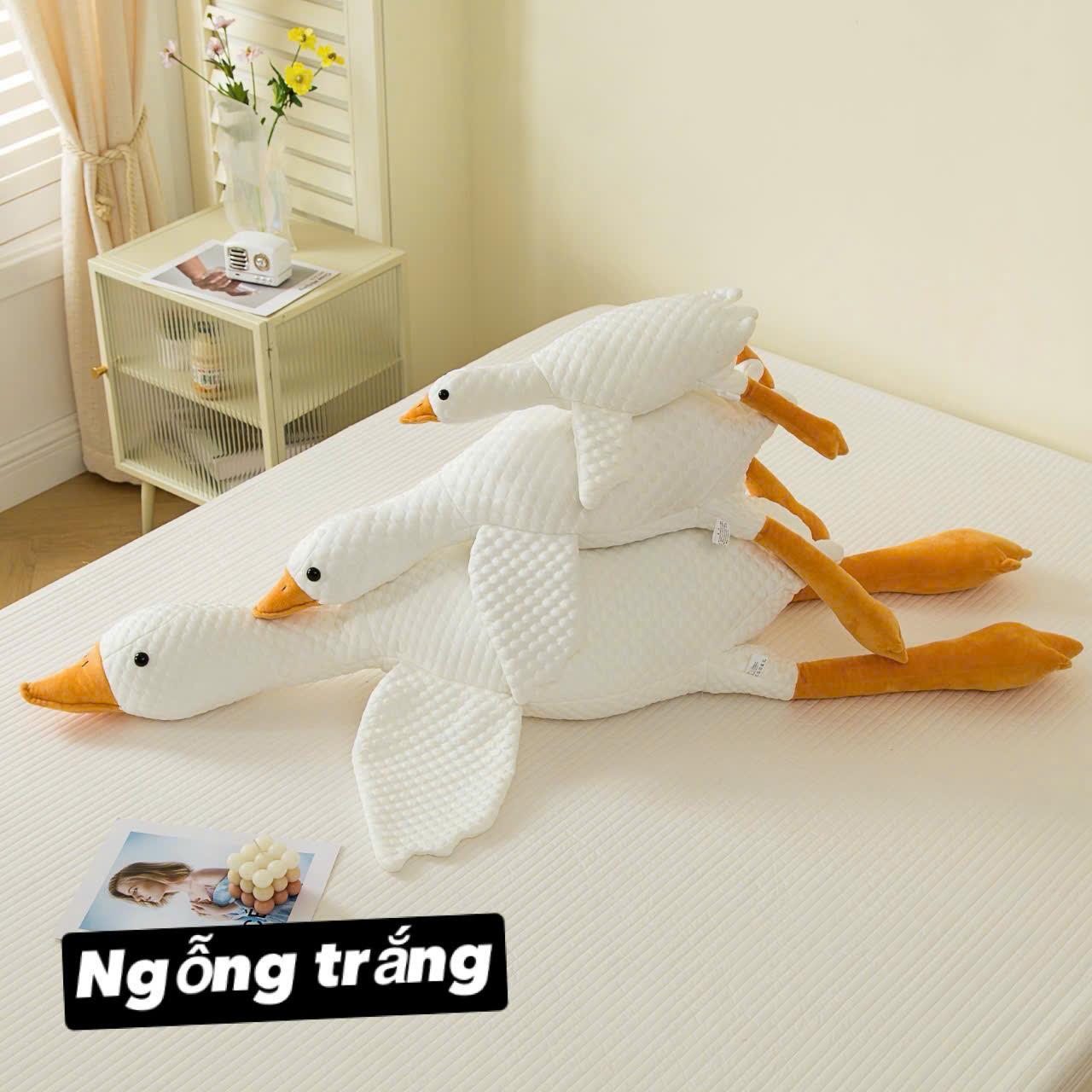Gấu Ôm Điều Hòa Ngỗng Trắng